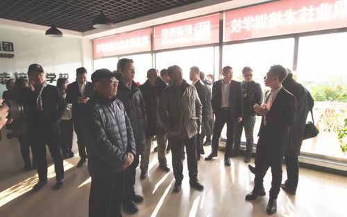 乾港集團(tuán) 乾港集團(tuán)