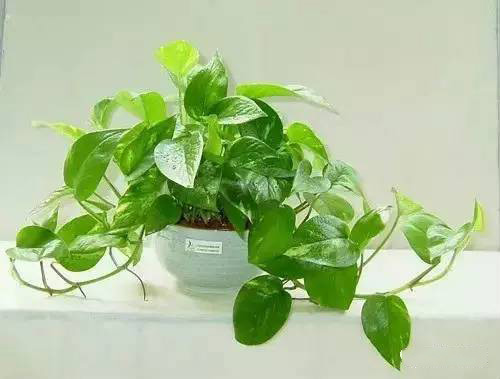 乾港集團 乾港集團