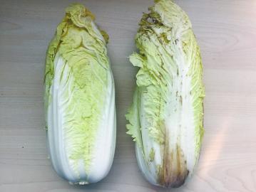 乾港集團(tuán) 乾港集團(tuán)