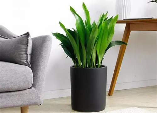 乾港集團 乾港集團